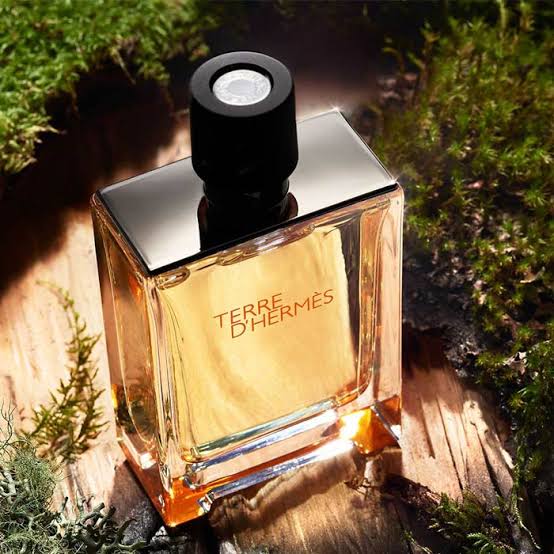 ادکلن هرمس تق هرمس | Hermes Terre d’Hermes 100 ml  { شیشه اصلی }