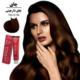 رنگ مو سالنی وینا حجم 125 میل